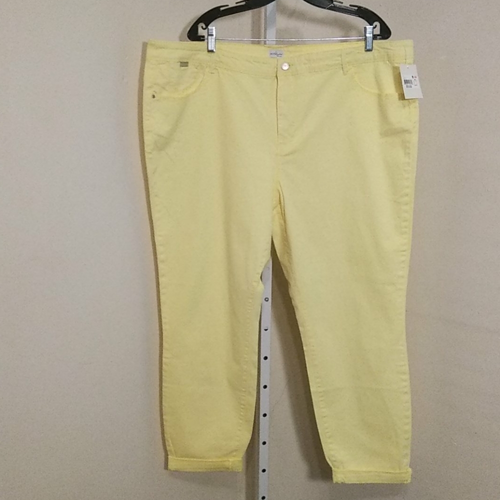 JACLYN SMITH WOMEN JEANS